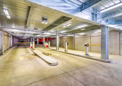 PRINT_111_Angas__5_of_19_